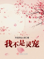 我不是灵宠免费阅读无弹窗