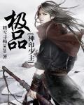踏雪寻梅的小说