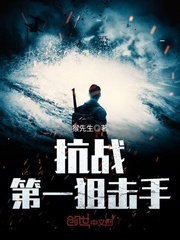 穿越抗战做狙击手的小说