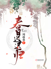 春日迟迟归 百度网盘