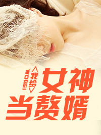我给女神当赘婿小说txt免费