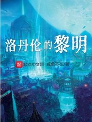洛丹伦的黎明小说