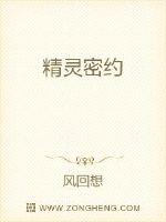 精灵密约小说全文免费阅读