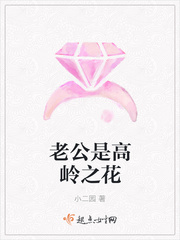 老公是高岭之花TXT下载