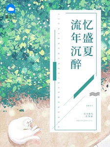 流年沉醉忆盛夏目录