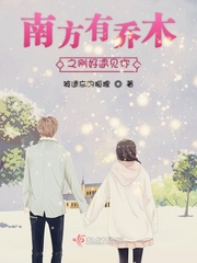 《南方有乔木》小说