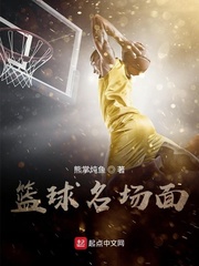 篮球小说排行榜前十名