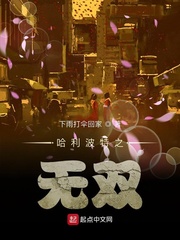 哈利波特之与我何关