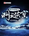 我的战机是洞天法宝txt下载全本免费