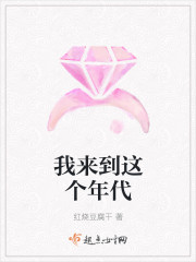 我来到这个年代 久久小说网下载