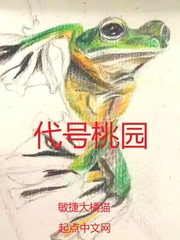 代号桃园游戏