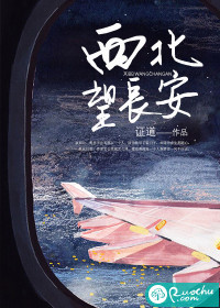 西北望长安歌曲