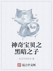 神奇宝贝之黑暗之子起点