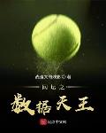 网王之数据巅峰 小说
