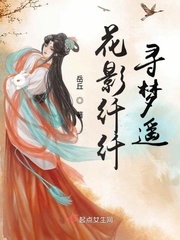 一分钟了解《花影》