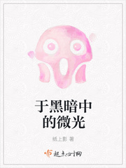 黑暗中的光写的小说