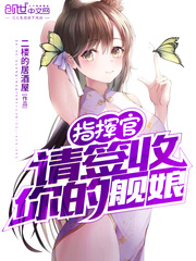 指挥官舰队游戏是什么游戏