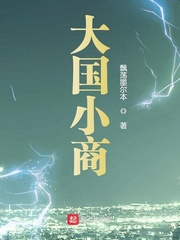 大国小商小说免费阅读无弹窗