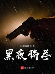 黑夜将尽黑夜将尽 小说
