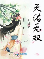 归途之天佑无双小说免费阅读下载