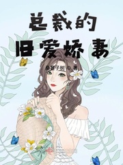 总裁的旧爱娇妻小说