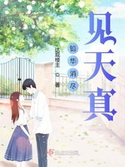 铅华褪尽讲的什么