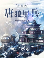 穿越大唐狼甲兵免费阅读下载