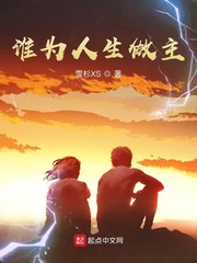 谁为人生做主小说阅读免费下载
