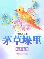 茅草屋里面图片