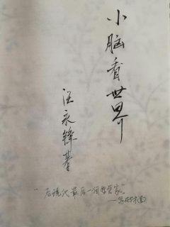 小脑看世界小说全文免费阅读
