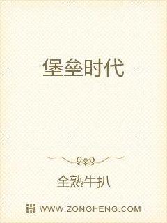 堡垒时代小说