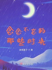 歌词 是念念不忘的岁月