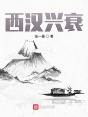 西汉怎么衰落的