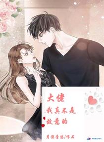 我不是故意和大佬