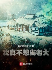 我真不想当老大小说免费阅读无弹窗