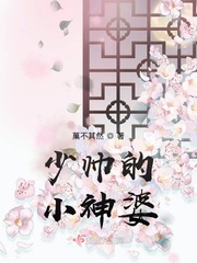 少帅中的小少帅是谁演的