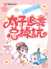 太子追妻总掉坑免费阅读小说