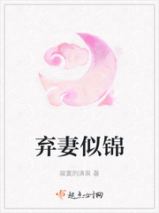 他的似锦钱橙小说在线阅读无弹窗