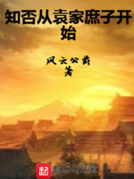 穿到知否知否小说