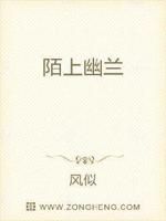作者陌上