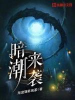 暗潮 1v1 作者波比