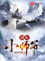 洪庆小师爷小说全文免费阅读笔趣阁