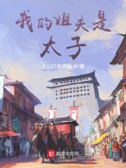 我的姐夫是太子小说