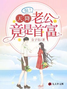许南歌霍北宴免费阅读358