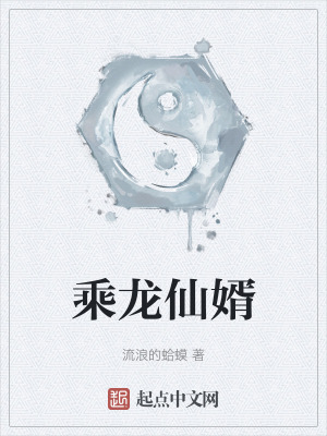 乘龙怪婿036