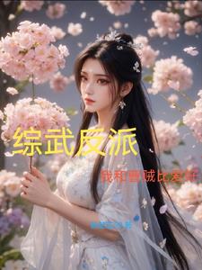 综武反派:我和曹贼比爱好书海小说阁