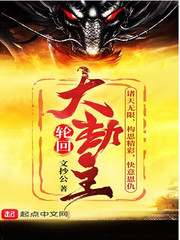 轮回大劫主小说免费阅读下载