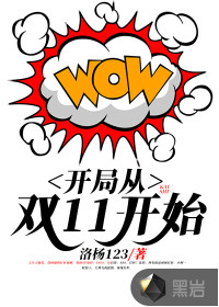 开局从双十一开始小说