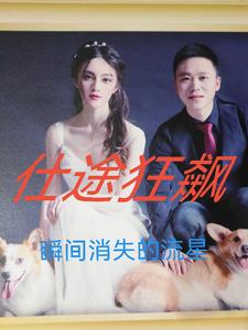 仕途狂飙TXT免费下载