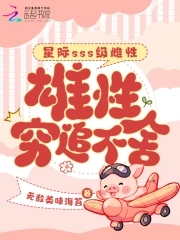 星际等级小说